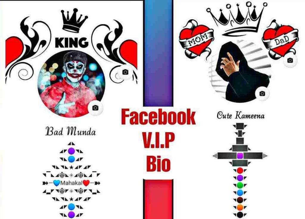 facebook vip bio digitalgyansg